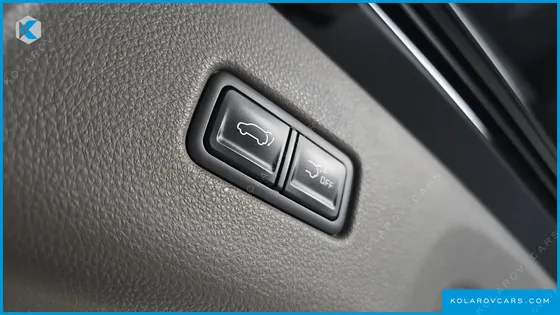 KIA CARNIVAL 9-SEATER HI-LIMOUSINE