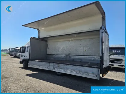 HYUNDAI MEGA TRUCK GOLD