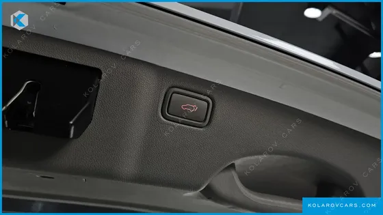 KIA CARNIVAL 9-SEATER NOBLESSE SPECIAL