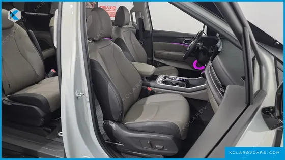 KIA CARNIVAL GASOLINE 9-SEATER NOBLESSE