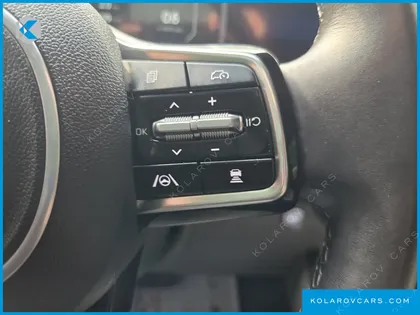 KIA CARNIVAL GASOLINE 4-SEATER HI LIMOUSINE