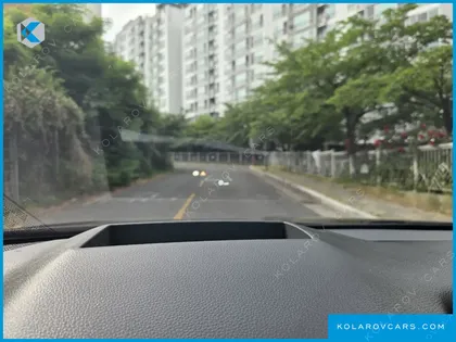 KIA CARNIVAL GASOLINE 4-SEATER HI LIMOUSINE