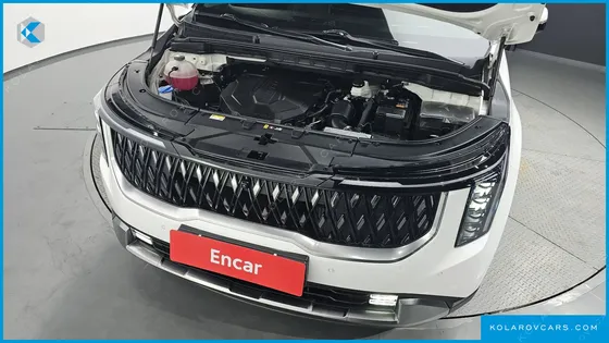 KIA CARNIVAL 9-SEATER NOBLESSE