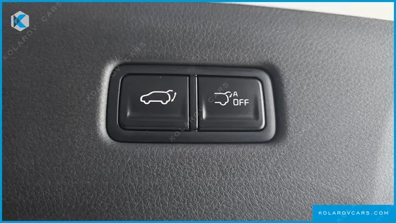 KIA CARNIVAL 9-SEATER NOBLESSE
