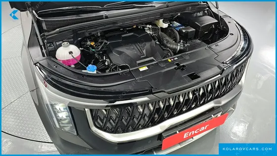 KIA CARNIVAL GASOLINE 4-SEATER HI LIMOUSINE