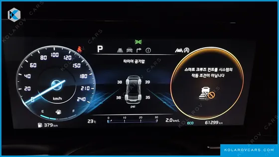 KIA CARNIVAL 9-SEATER SIGNATURE