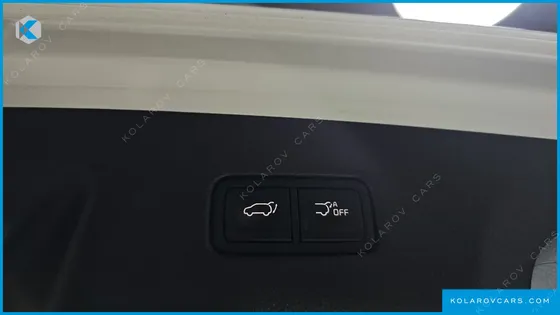 KIA CARNIVAL GASOLINE 9-SEATER SIGNATURE