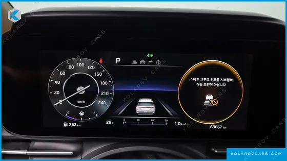 KIA CARNIVAL GASOLINE 9-SEATER LIMOUSINE(SPECIAL VEHICLE)