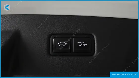 KIA CARNIVAL 9-SEATER NOBLESSE