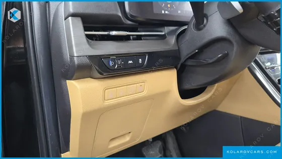 KIA CARNIVAL 9-SEATER SIGNATURE