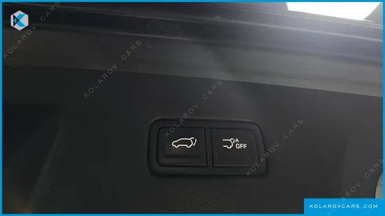 KIA CARNIVAL 9-SEATER SIGNATURE