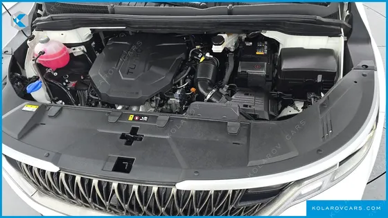 KIA CARNIVAL 9-SEATER PRESTIGE