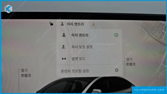 TESLA MODEL 3 RWD