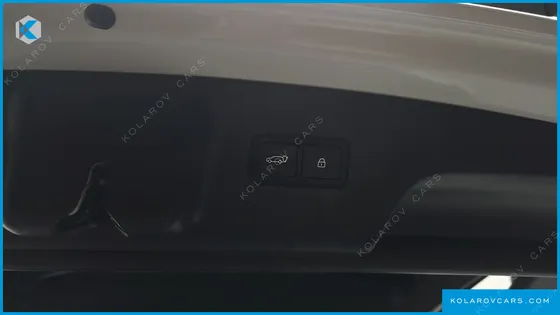 HYUNDAI PALISADE HEV 2.5T 4WD 9-SEATER