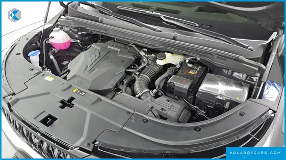 KIA CARNIVAL GASOLINE 9-SEATER HI LIMOUSINE