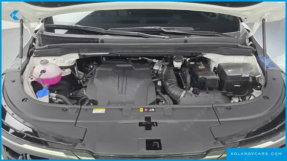 KIA CARNIVAL GASOLINE 9 SEATER X LINE