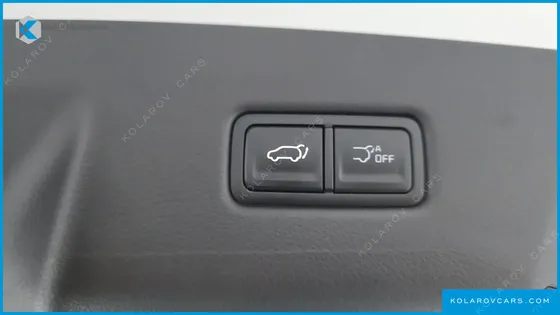 KIA CARNIVAL GASOLINE 9 SEATER X LINE