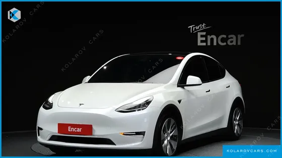 TESLA MODEL Y LONG RANGE AWD