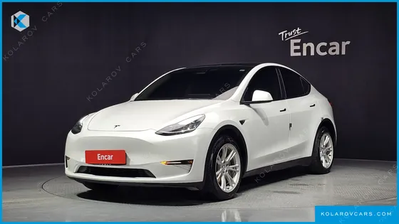 TESLA MODEL Y LONG RANGE AWD