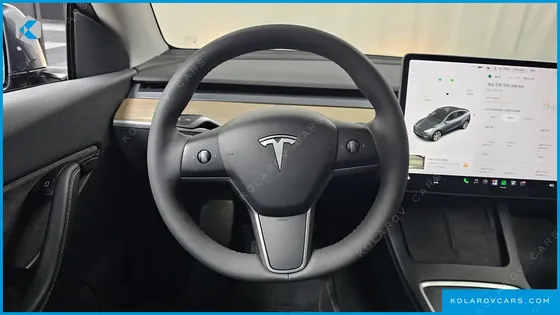 TESLA MODEL Y LONG RANGE AWD