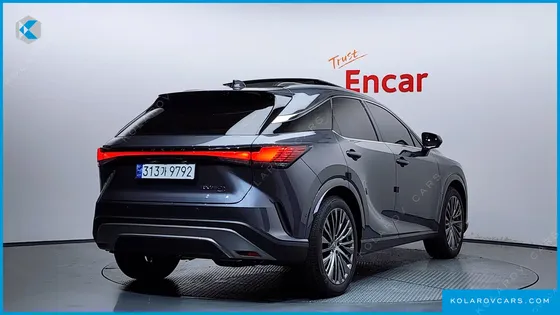 LEXUS RX LUXURY