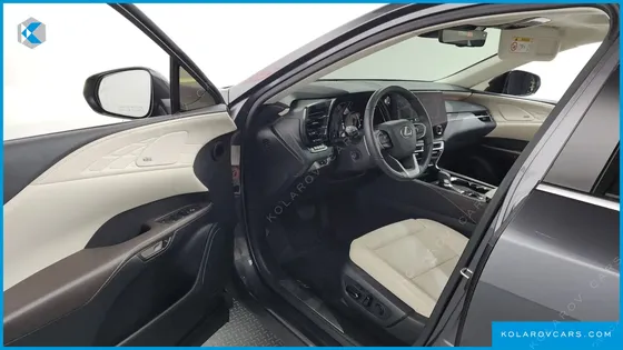 LEXUS RX LUXURY