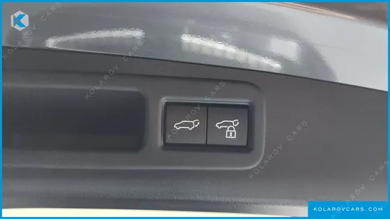 LEXUS RX LUXURY