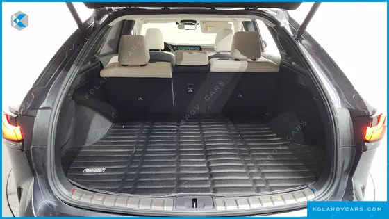 LEXUS RX LUXURY