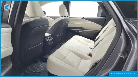 LEXUS RX LUXURY