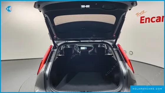 KIA NIRO EARTH