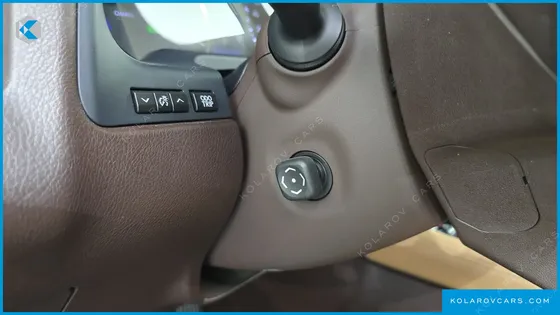 LEXUS RX EXECUTIVE