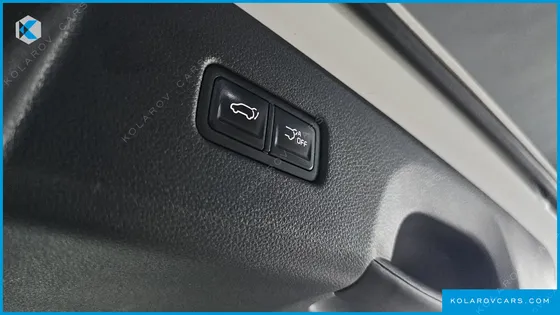 KIA CARNIVAL 9-SEATER NOBLESSE