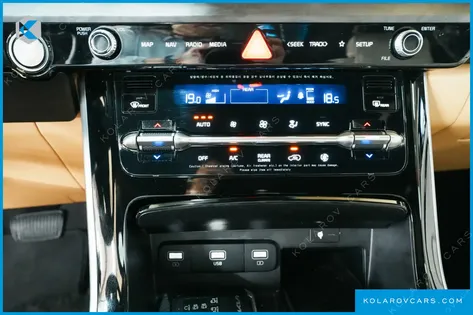 KIA CARNIVAL GASOLINE 9-SEATER LIMOUSINE(SPECIAL VEHICLE)