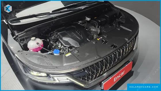 KIA CARNIVAL GASOLINE 9-SEATER SIGNATURE