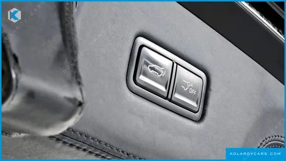 KIA CARNIVAL GASOLINE 9-SEATER LIMOUSINE(SPECIAL VEHICLE)