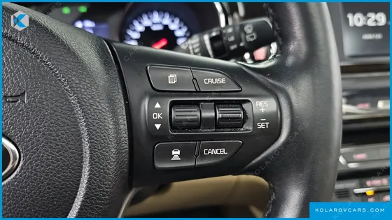KIA CARNIVAL 9-SEATER NOBLESSE SPECIAL