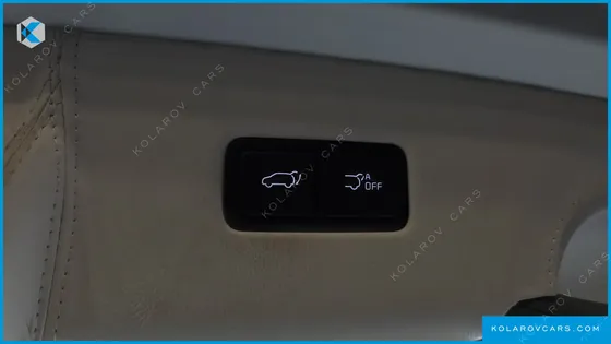 KIA CARNIVAL GASOLINE 7-SEATER LIMOUSINE(SPECIAL VEHICLE)