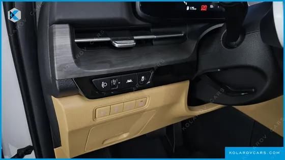 KIA CARNIVAL 9-SEATER NOBLESSE