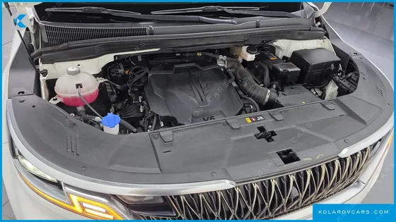 KIA CARNIVAL GASOLINE 9-SEATER HI-LIMOUSINE