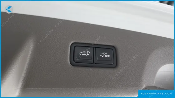 KIA CARNIVAL GASOLINE 9-SEATER HI-LIMOUSINE