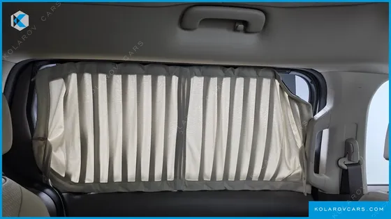 KIA CARNIVAL GASOLINE 9-SEATER HI-LIMOUSINE