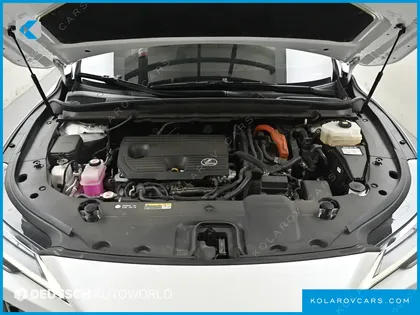 LEXUS RX LUXURY