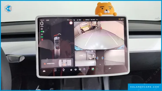 TESLA MODEL Y LONG RANGE AWD