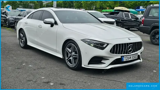 MERCEDES CLS-CLASS CLS300D AMG LINE