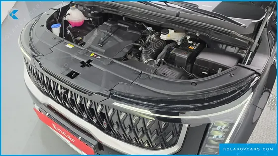 KIA CARNIVAL GASOLINE 7-SEATER HI LIMOUSINE