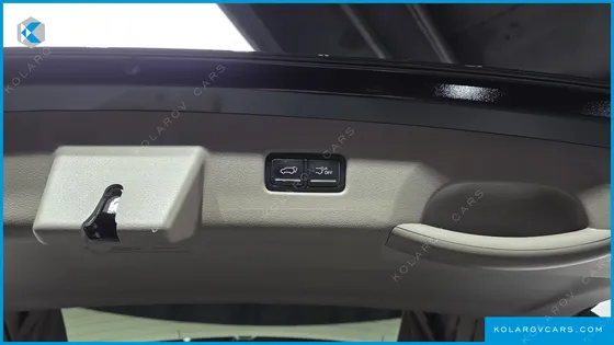 KIA CARNIVAL GASOLINE 7-SEATER HI LIMOUSINE