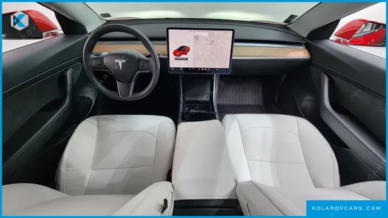 TESLA MODEL 3 STANDARD RANGE PLUE RWD