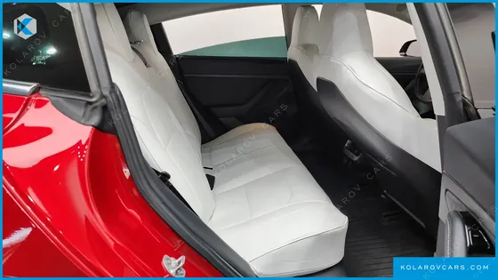 TESLA MODEL 3 STANDARD RANGE PLUE RWD