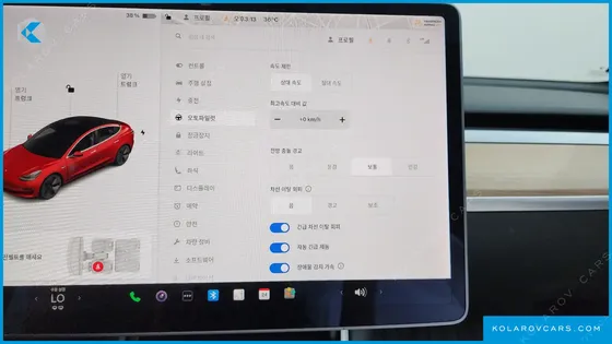 TESLA MODEL 3 STANDARD RANGE PLUE RWD
