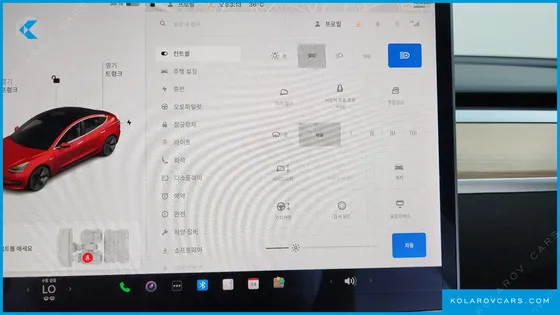 TESLA MODEL 3 STANDARD RANGE PLUE RWD